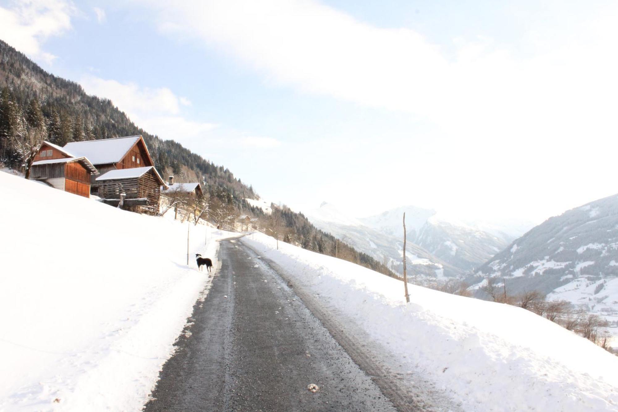 Bauernhof Grussberggut Bad Hofgastein