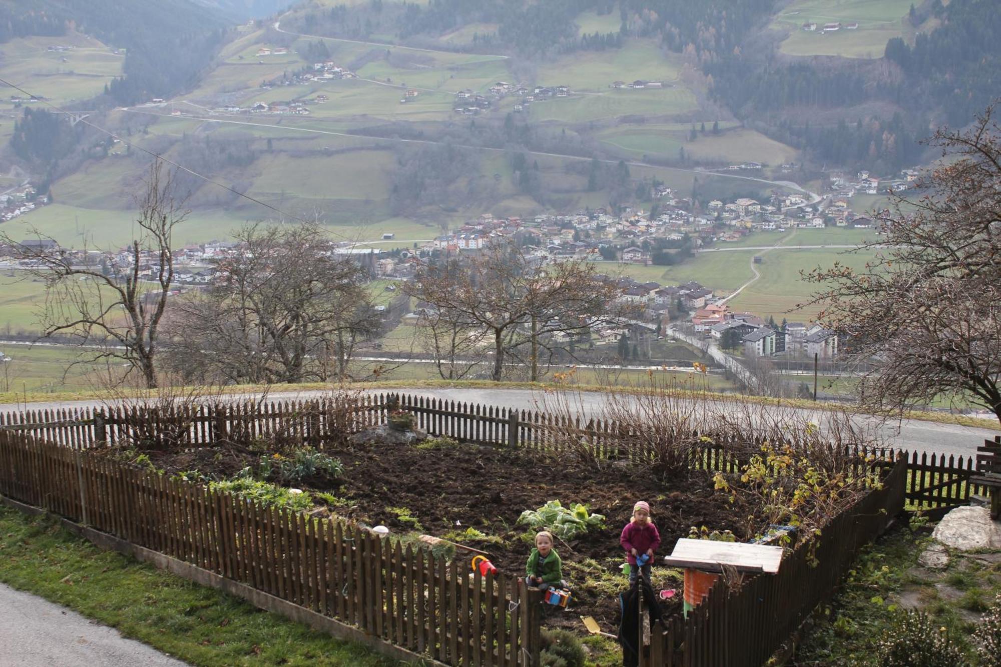Bauernhof Grussberggut Farm stay