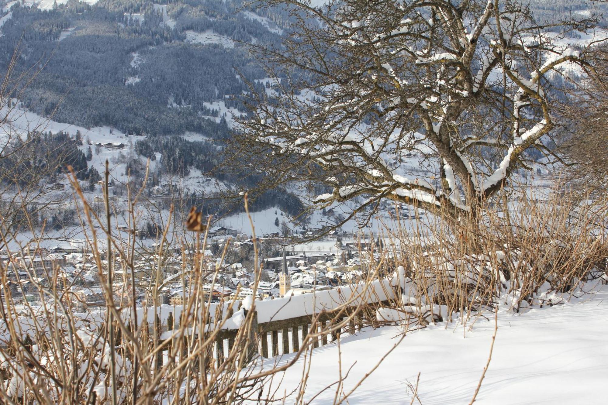 Bauernhof Grussberggut Farm stay