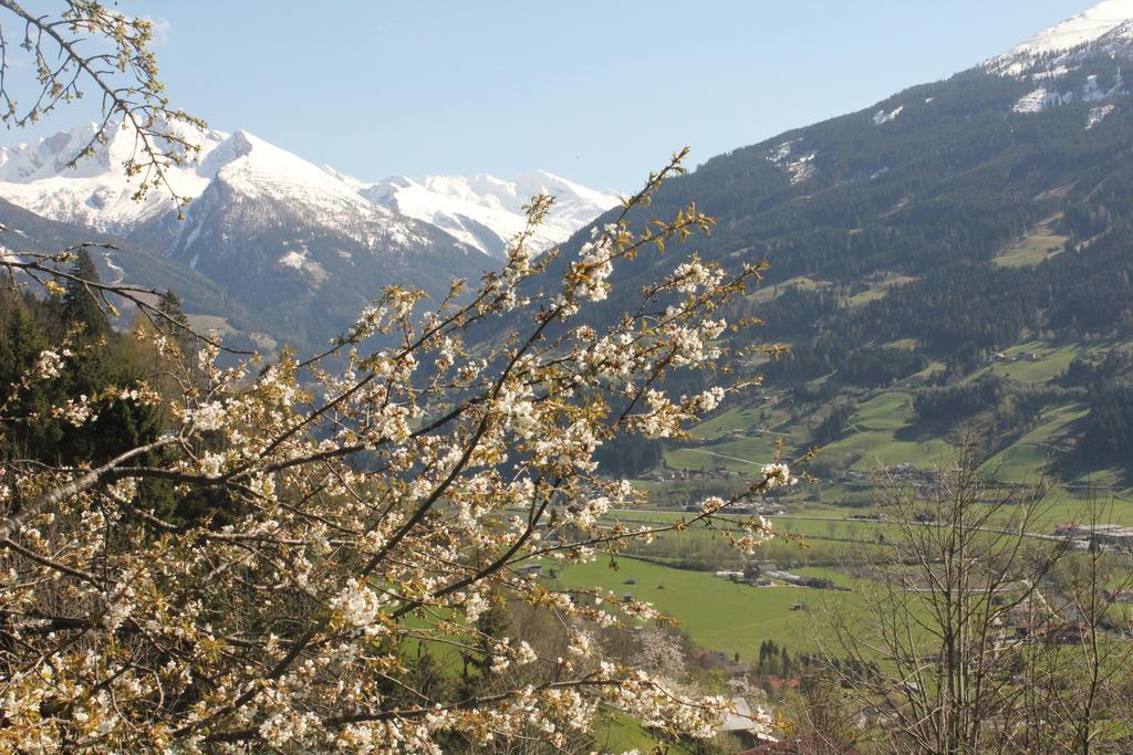 Farm stay Bauernhof Grussberggut *